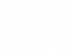 lung-1-300x194